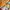 Chalet 10 personnes Super Besse, chambre Bois Joli 4 Personnes