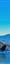 Le Massif du Sancy, le Puy de Sancy et le Roc de Cuzeau vue du Lac de Guéry