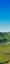 les Monts Dore, le Massif Adventif, un sommet du Puy de l'Angle, vue sur le Massif du Sancy